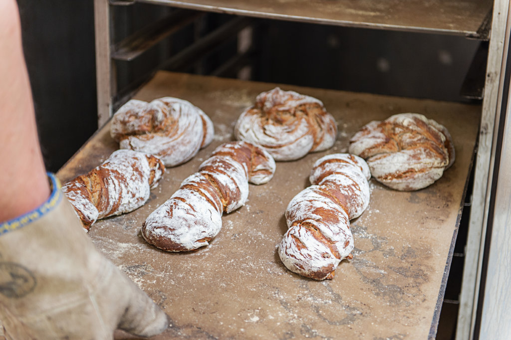 Buchweizen-Dinkelbrot ohne Weizenmehl mit Speckwürfel - Kosta ...